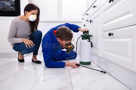 Real Estate Pest Inspections in St Simons, GA